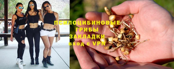 кокс Алзамай