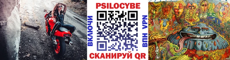 Галлюциногенные грибы Psilocybe  Берёзовка 